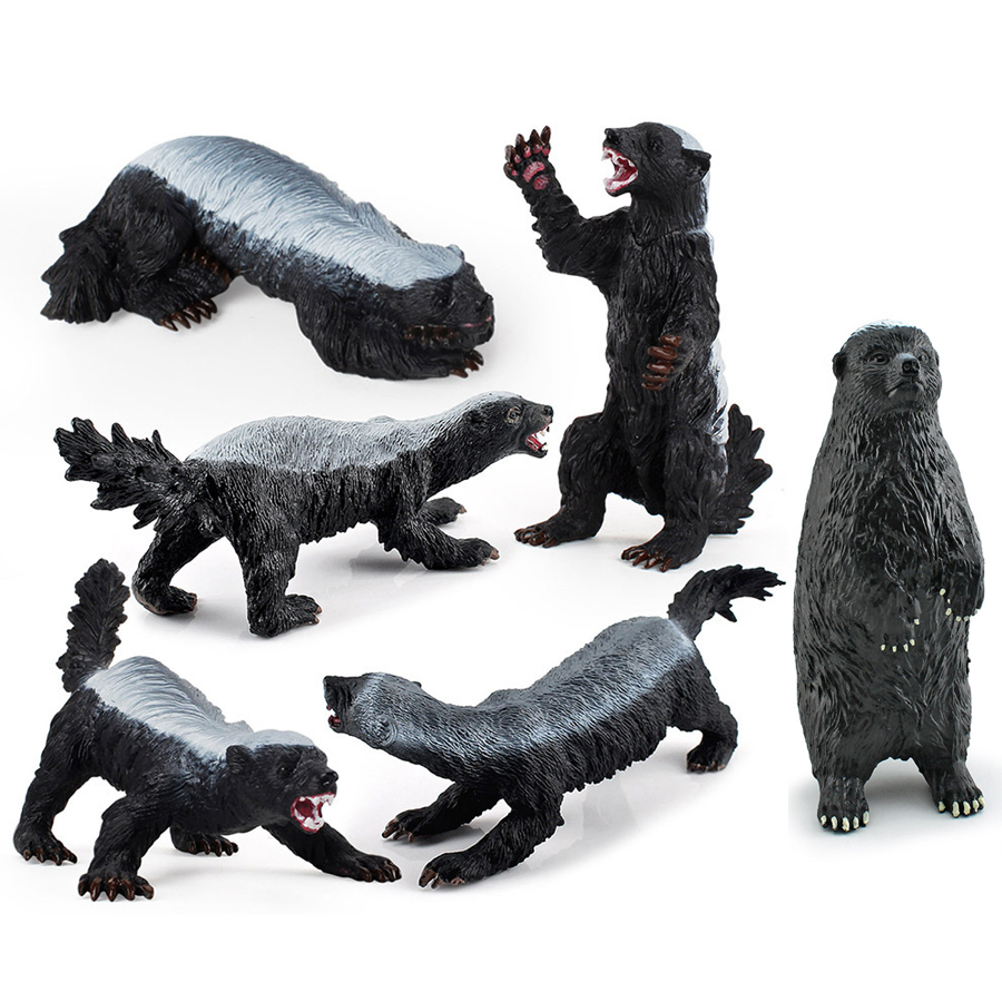 Kids Educational Resources - Realistic Honey Badger Model Simulation Wild