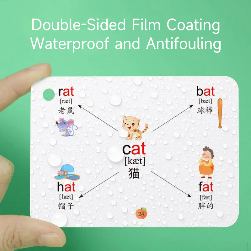 600 Words Mind Map Cards with  - Kids Education Card 评论和价格