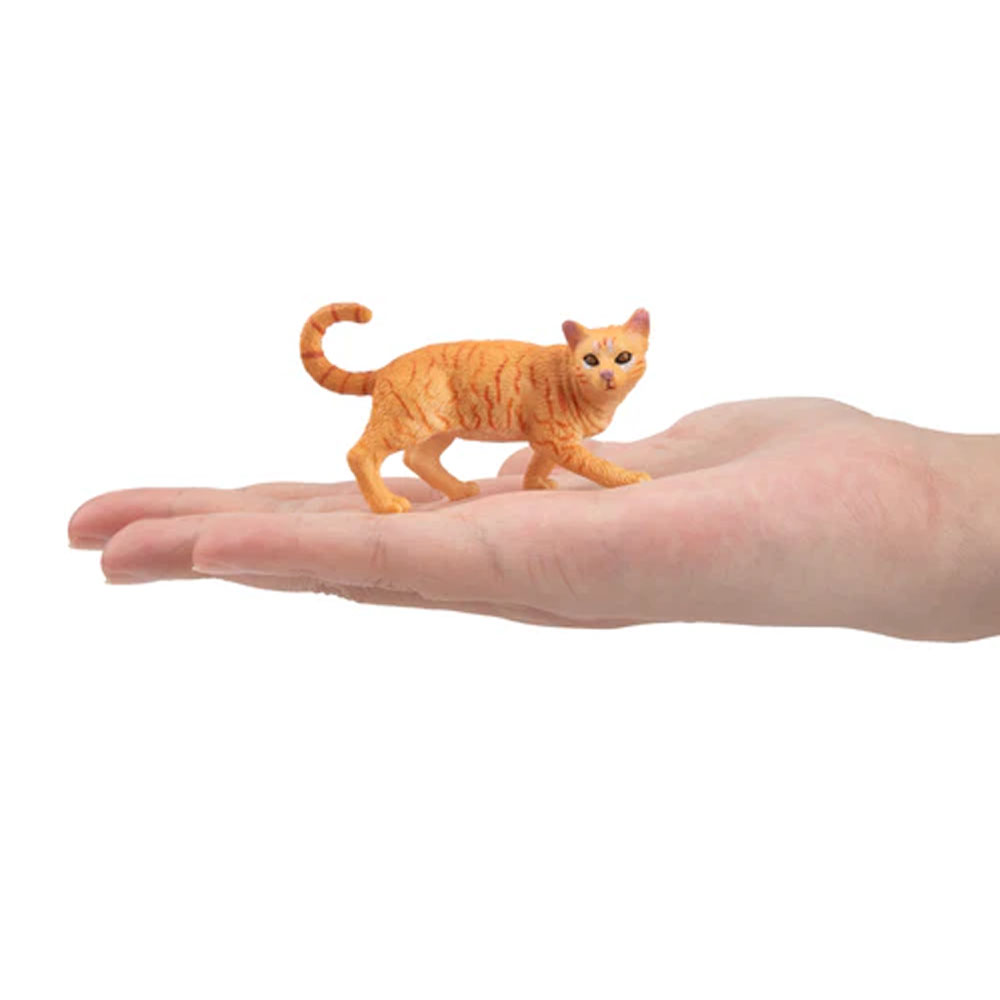 Toymany Simulation Striding Or - Kids Educational Resources 评论和价格