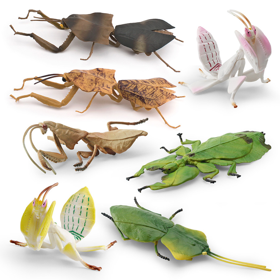 Realistic Orchid Mantis Dead L - Kids Educational Resources 评论和价格
