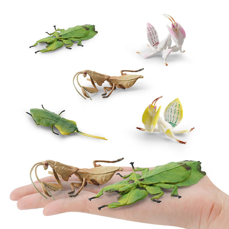 Realistic Orchid Mantis Dead L - Kids Educational Resources 评论和价格